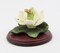 Ceramic Magnolia Flower with Butterfly on Wooden Base, Home Décor, Gift for Her, Gift for Mom